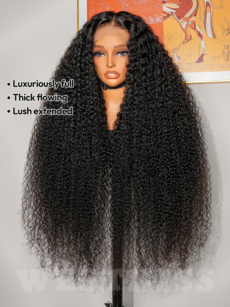 Human Hair Curly Lace Front Wigs Quality Lace Wigs Glueless Curly Hair Lace Frontal Wigs