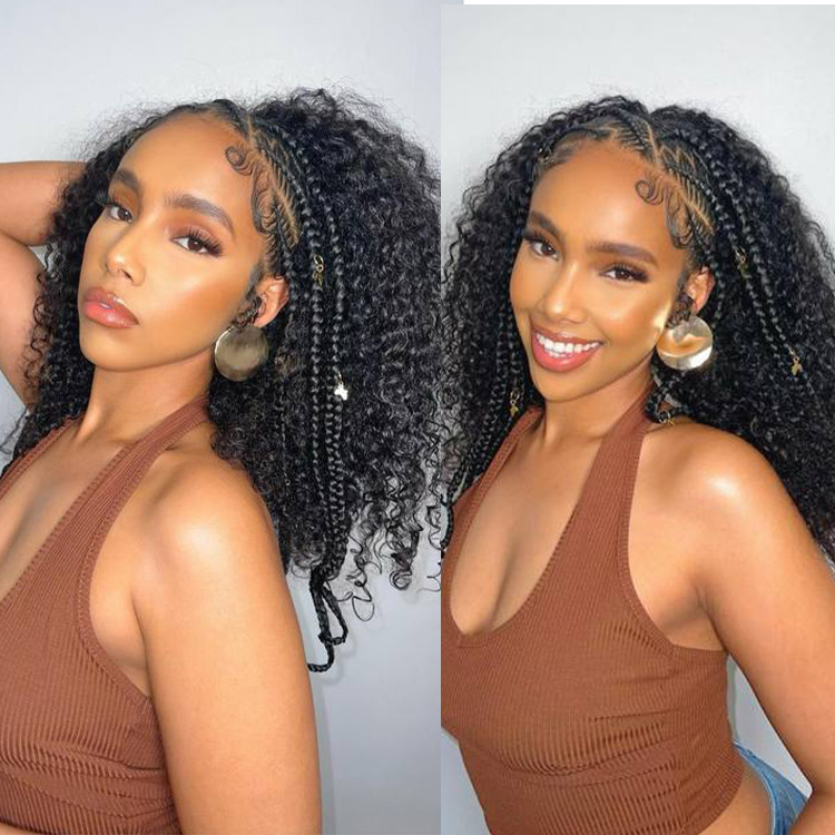 Braided Lace Front Wig