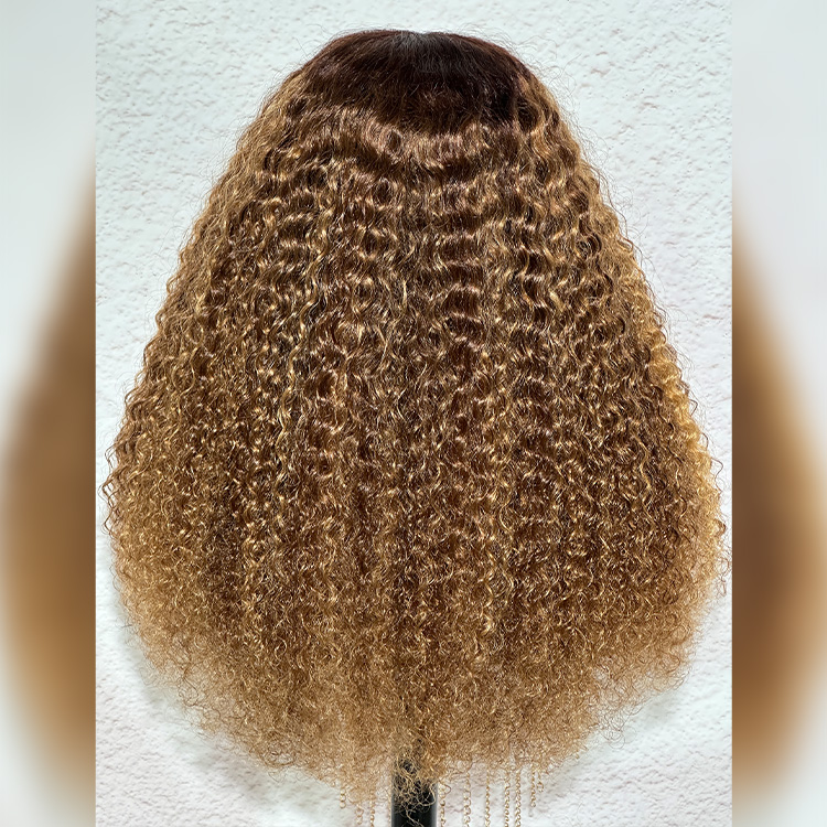 honey blonde highlights wig