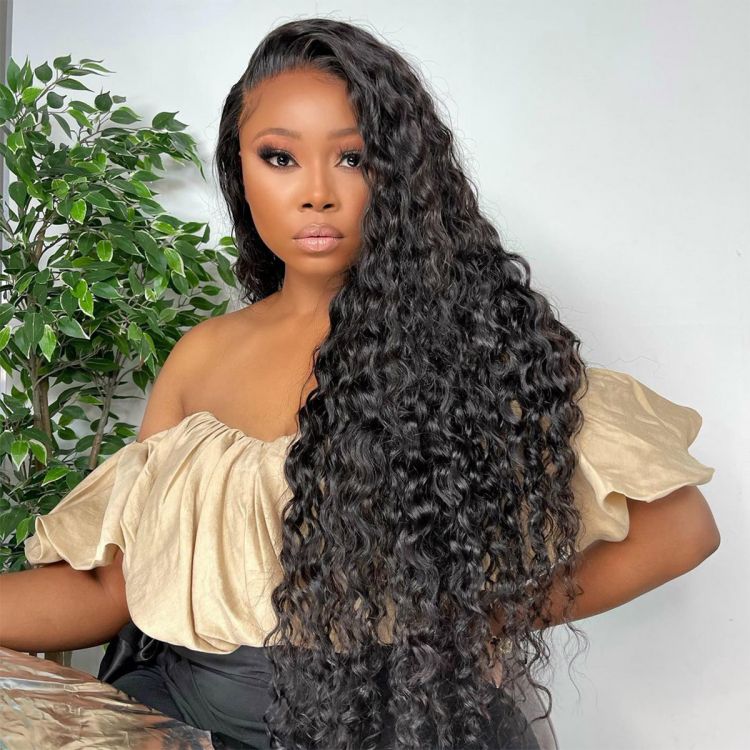 Water Wave Lace Wig